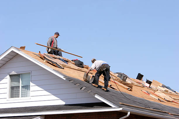 Best Skylight Installation and Repair  in Concord, NH